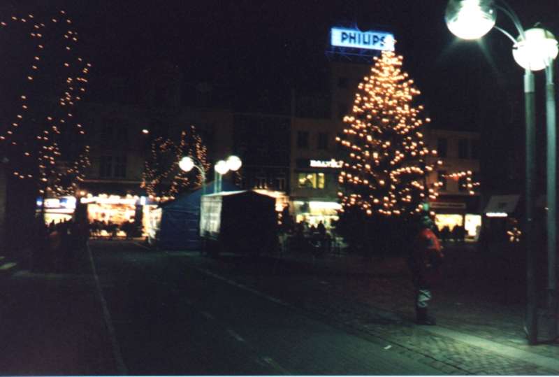 The tree with street-light decorations